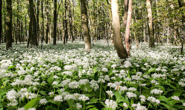 Unlocking the Power of Spring